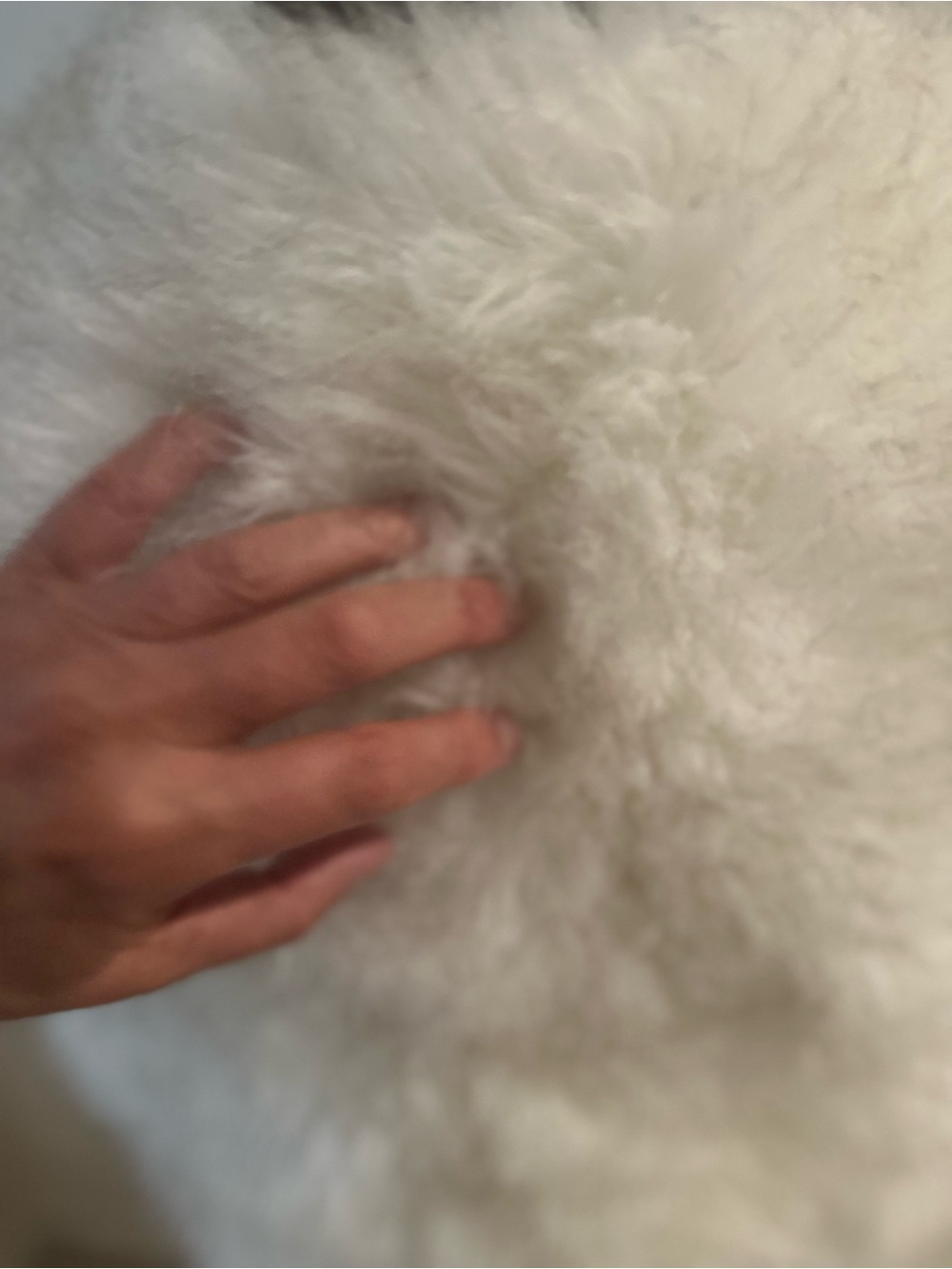 COUNTESS - Picture 3 of 6